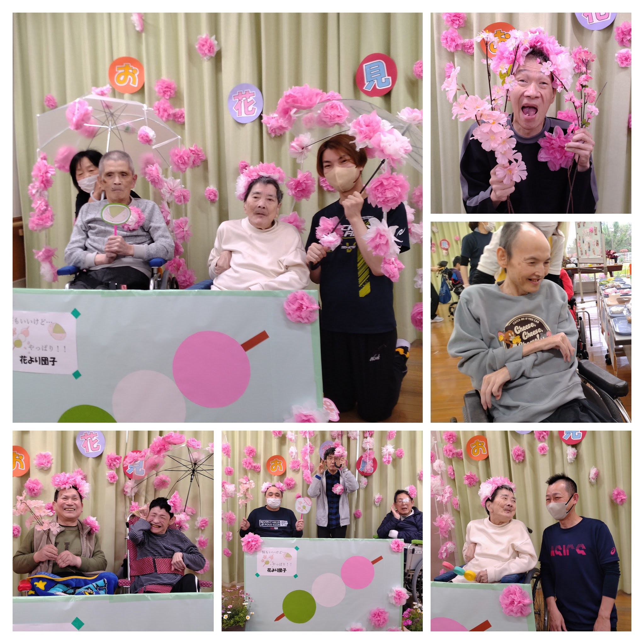 🌸今年のお花見🌸