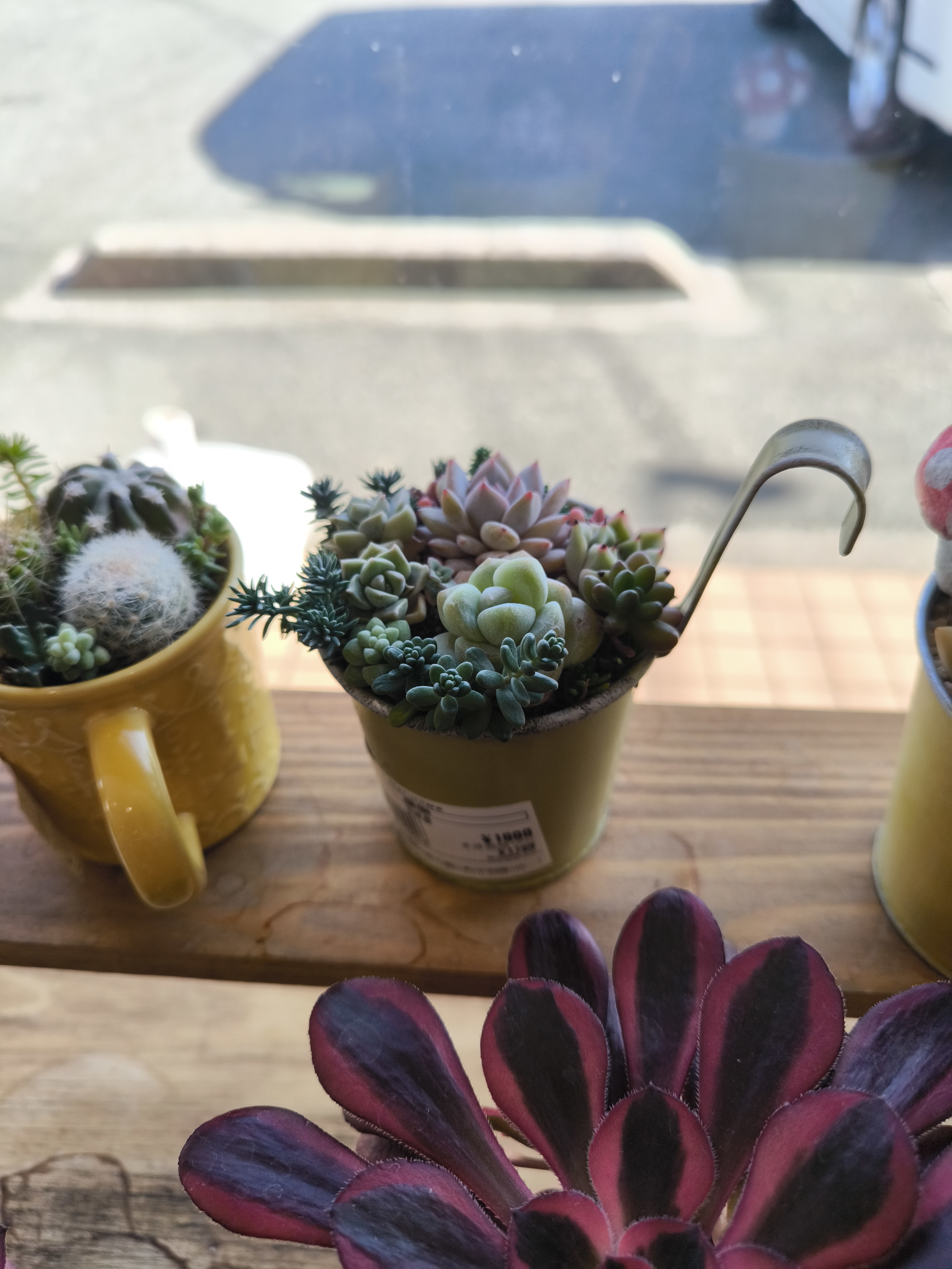 暖かい季節になりました。