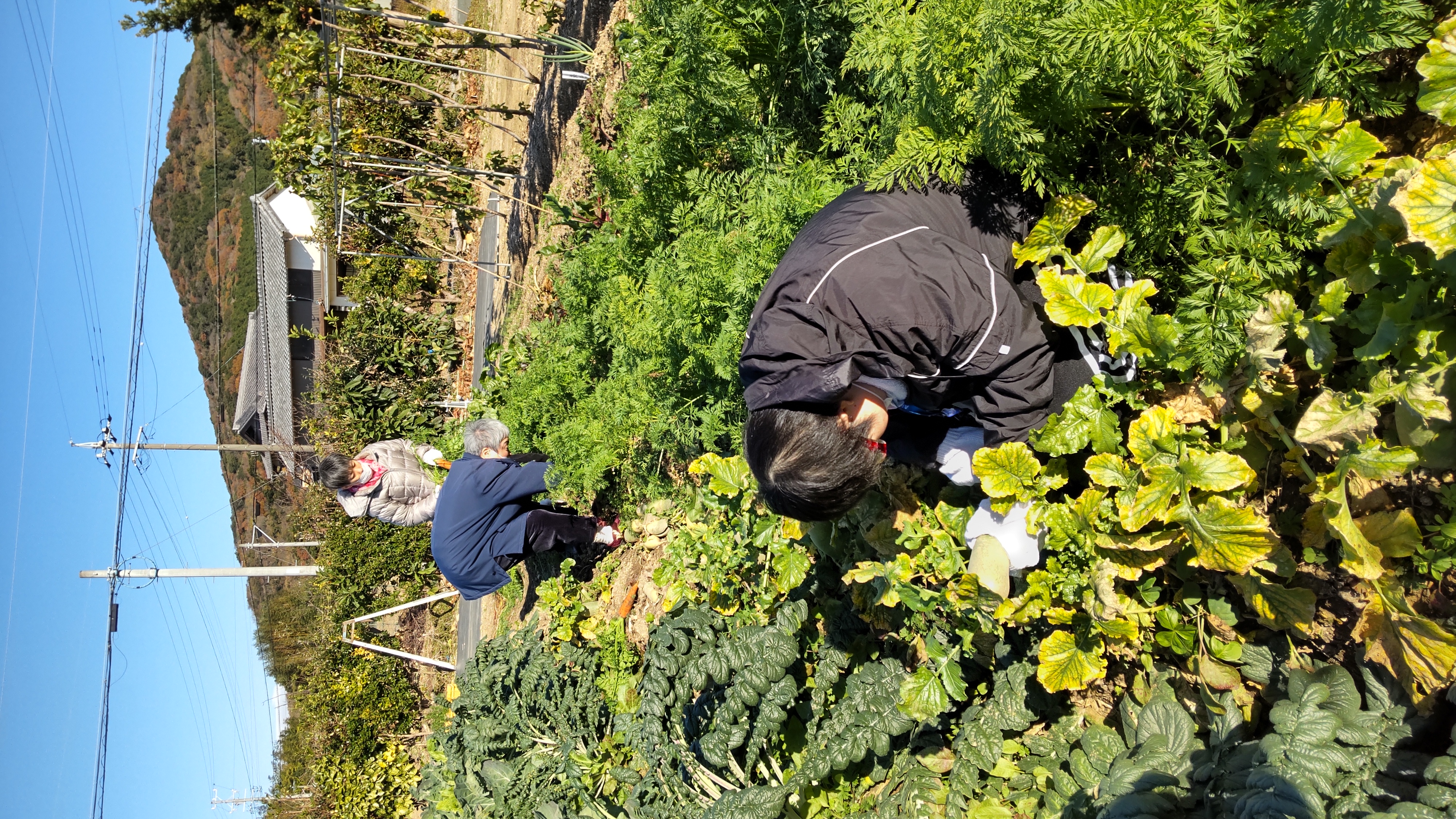 本日の収穫は・・・