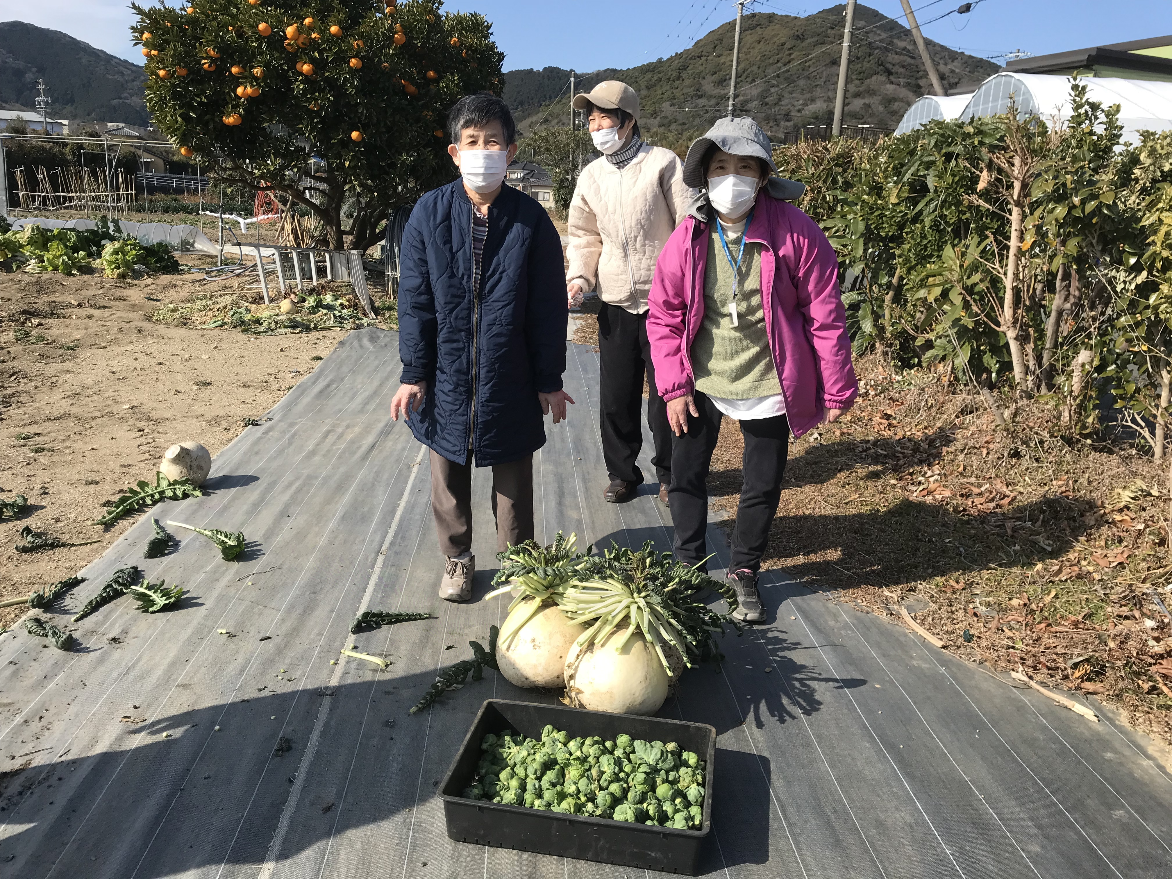 本日の収穫物は・・・